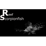 Reef Scorpionfish
