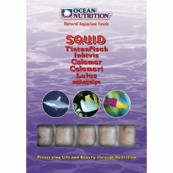 Ocean Nutrition Squid 100g