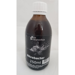 Reef Scorpionfish Nitrobacter 250 ml