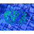 Euphyllia paradivisa ( 2 mordki )