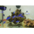 Chromis blue reef