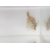 Acreichthys tomentosus